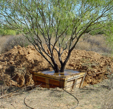 Landscape Maintenance Gallery Image One