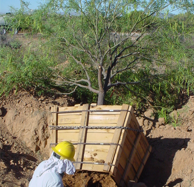 Landscape Maintenance Gallery Image Four