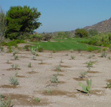 Landscape Maintenance Gallery Image Two