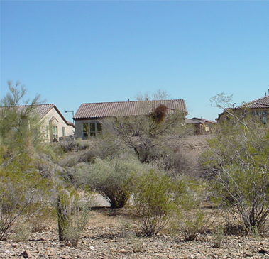 Landscape Maintenance Gallery Image Five