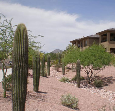 Landscape Maintenance Gallery Image Three